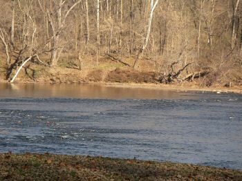 Packhorse ford potomac river #2
