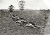 Antietam Casualties