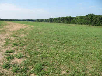 boonville11.jpg (139423 bytes)