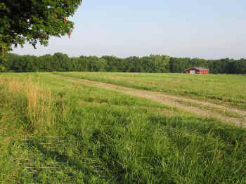 boonville13.jpg (137707 bytes)