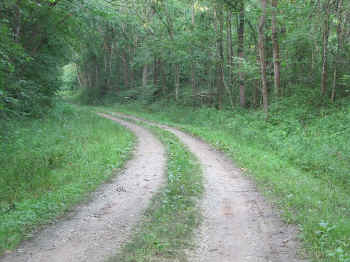 boonville6.jpg (131131 bytes)