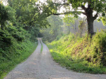 boonville7.jpg (151719 bytes)
