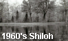 Shiloh Battlefield Photos from the 1960's