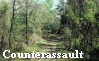 Battle of Champion Hill: The Confederate Counterassault
