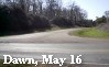 Battle of Champion Hill: Dawn, May 16