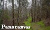 Battle of Champion Hill Panoramas