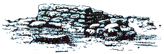 co.gif (11180 bytes)